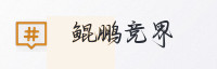 合作伙伴